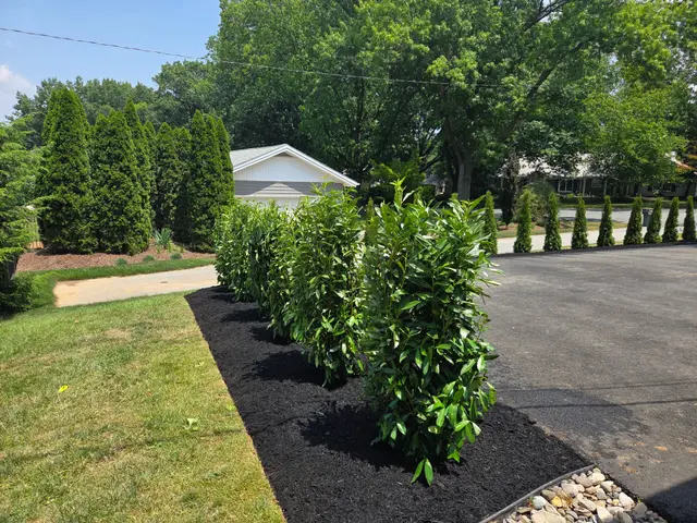 Lawn & Yard Care context for SDS Landscaping LLC