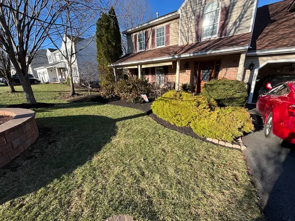 Curved bed around established shrubs