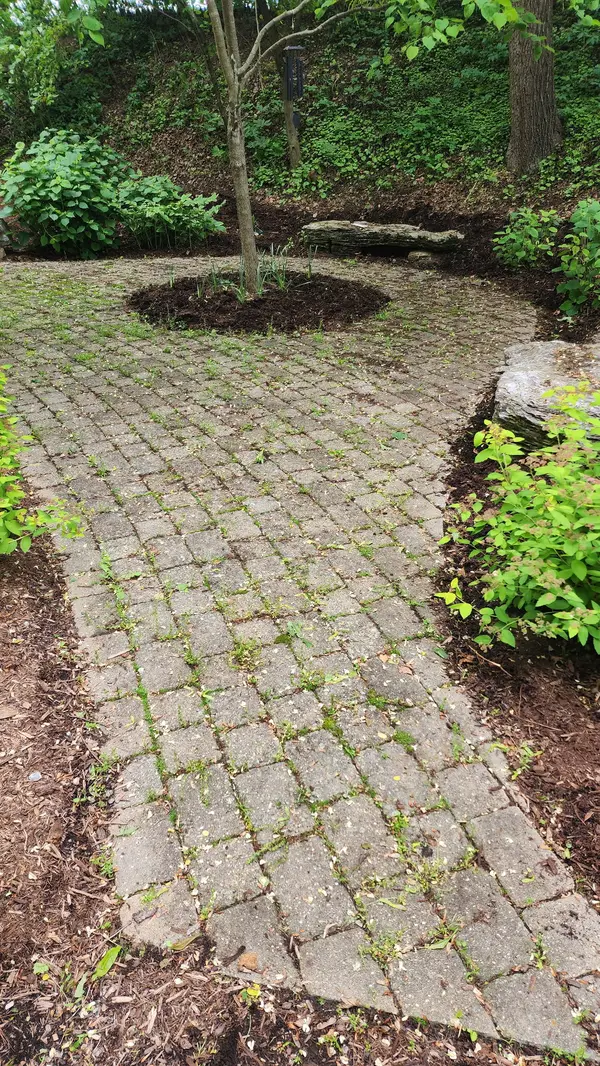 Shaded paver walkway
