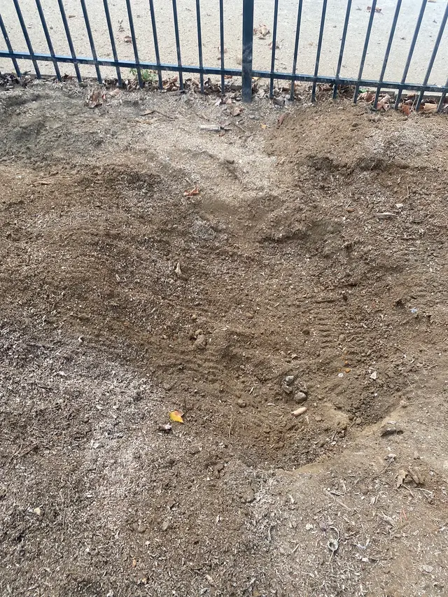 Stump Removal context for Leopard Tree Services LLC
