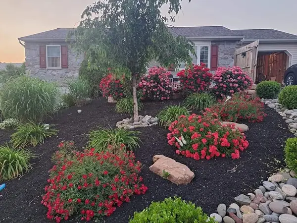 Flowering garden bed