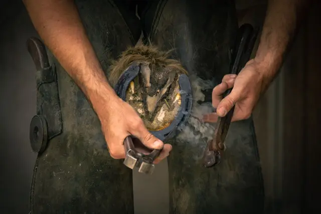 Horseshoeing and Resets context for Eastern PA Farrier