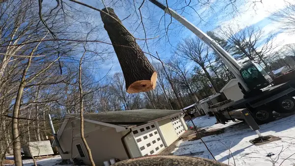 Crane lowering a large trunk section beside a home