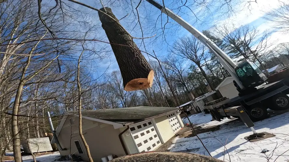 Nathan's Tree Service LLC project work