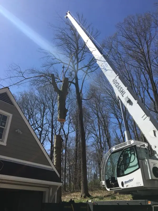 Crane-assisted tree work shown on the Pittock's profile