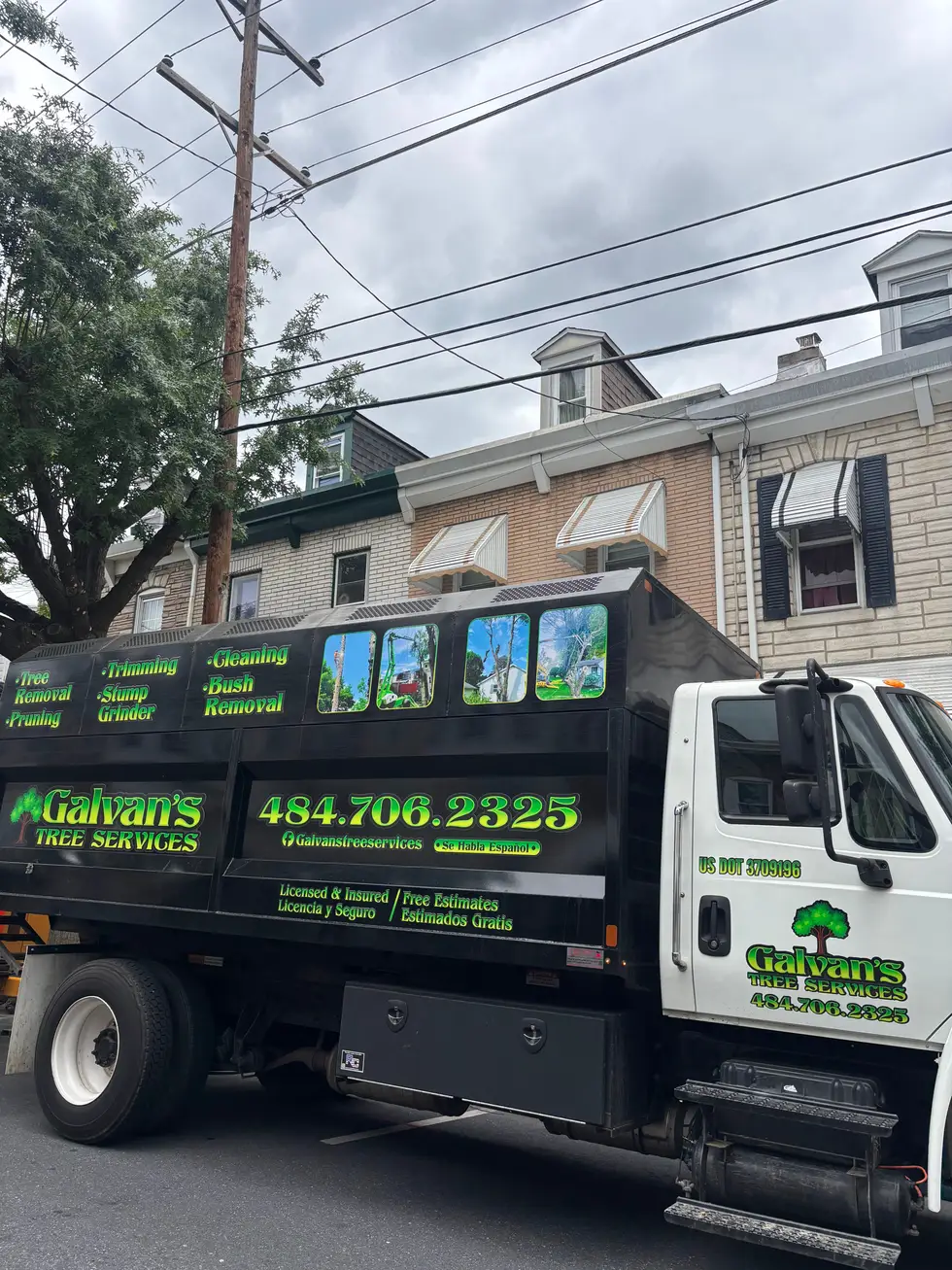 Galvan's Tree Services project work