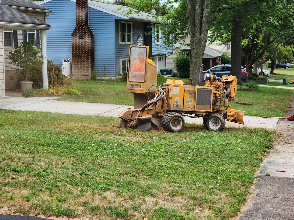 Eichelbergers Tree Service project work