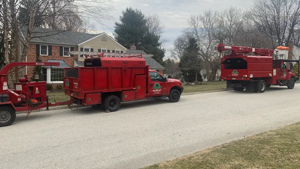 JL Tree Care Services project work