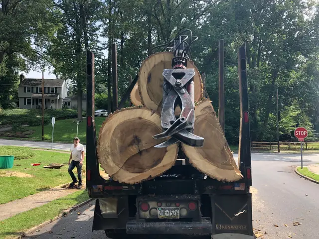 Tree Removal context for CPL Landscape and Tree