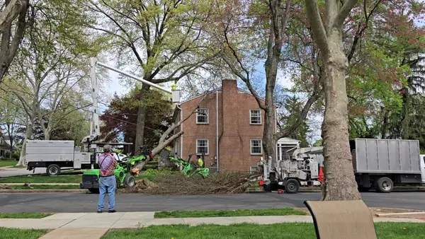 Git-R-Down crew and equipment at a neighborhood tree removal