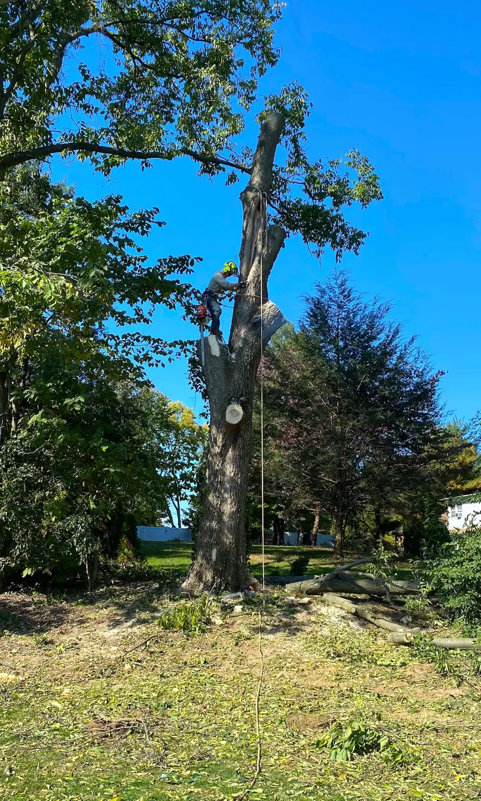Baker's Tree Services project work