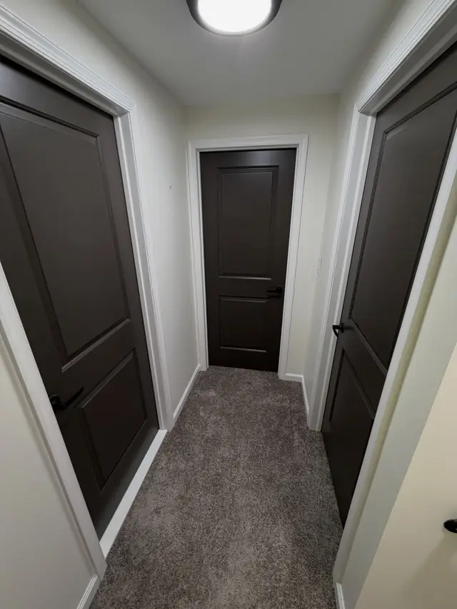 Door and Trim Painting context for Stephen Gartner Painting