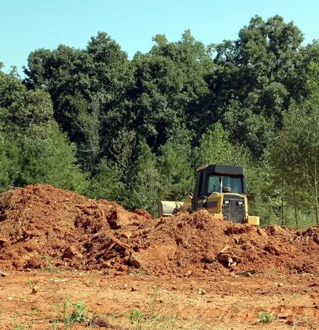 Land Clearing context for Point Pleasant Tree Service