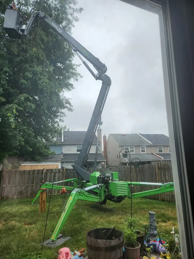 Tree Pruning context for Scheetz Tree Service
