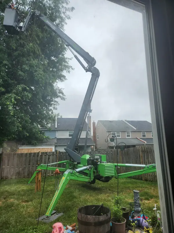 Lift-assisted tree work near a home