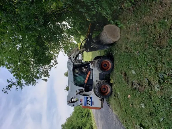Compact loader carrying a cut tree section