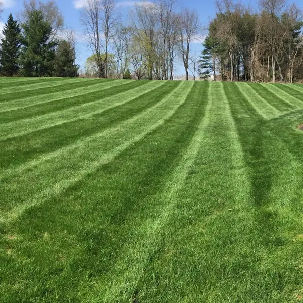 Lawn mowing shown on the Pittock's profile