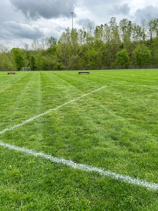 Mown field with striped grass