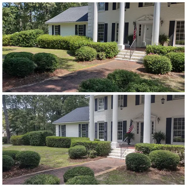 Hedge Trimming context for Hughes Lawn & Landscaping