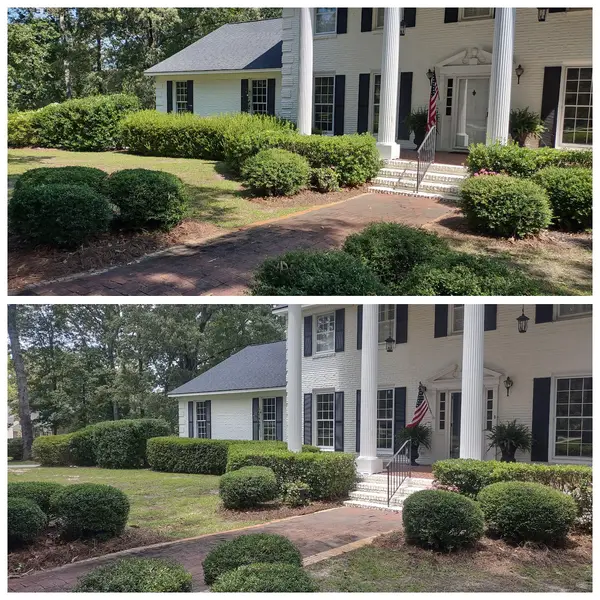 Shrub and planting-bed before-and-after views