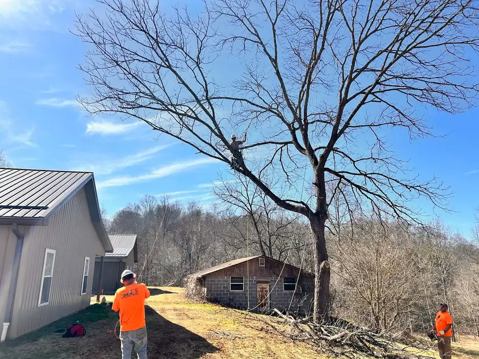 Trent’s Residential Services, LLC project work