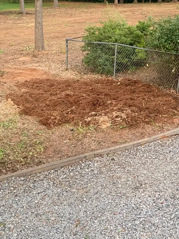 Ground after stump-area work
