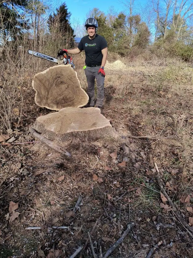 Custom Milling context for Valley Tree Care LLC
