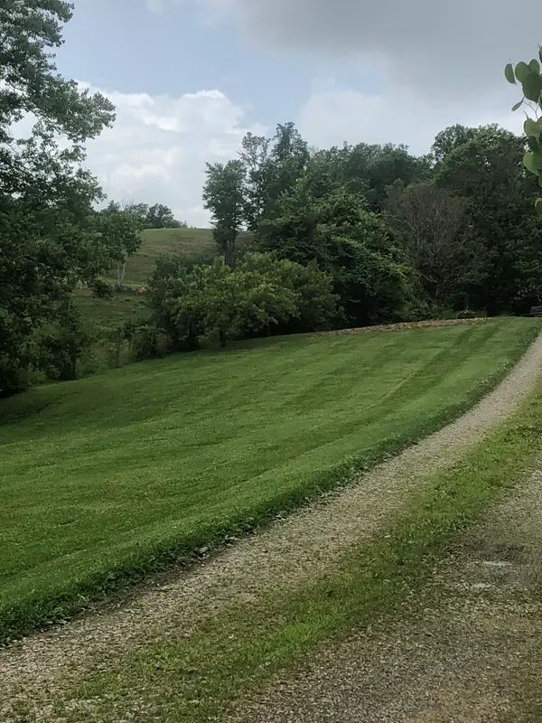 Trimmed lawn along a sloped roadside