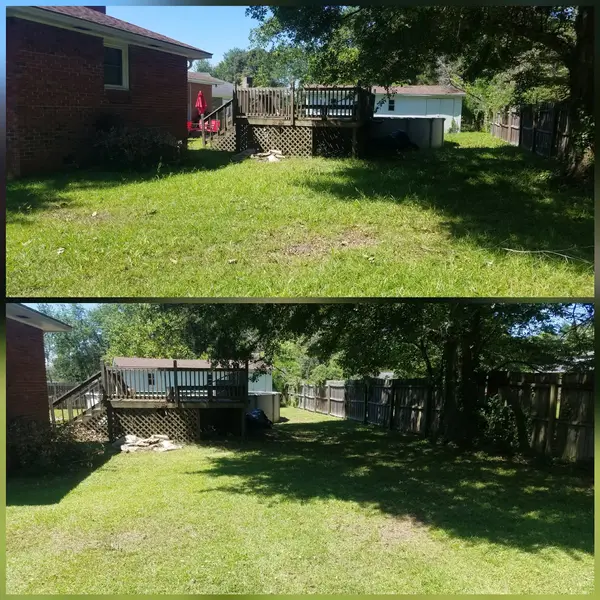 Backyard mowing comparison