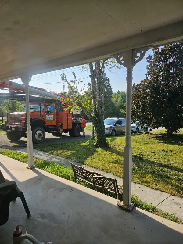 Tree-service truck beside a house