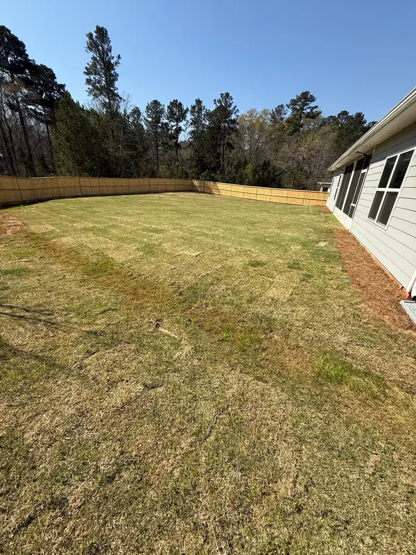 Lawn beside a house