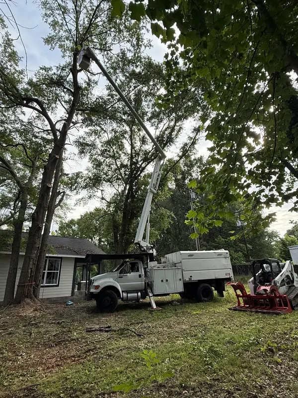 Bucket truck beside trees