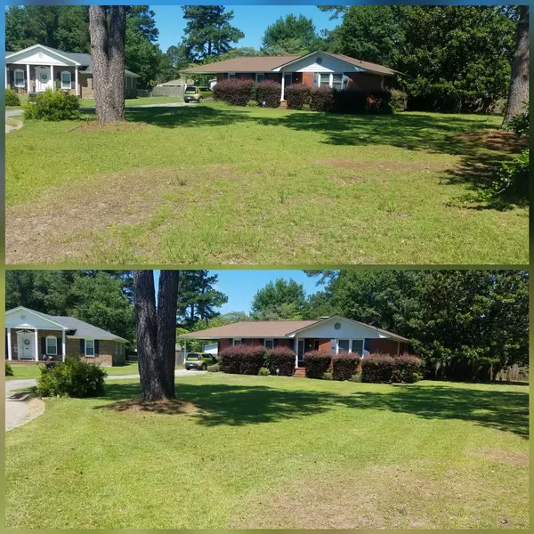 Lawn maintenance before-and-after views