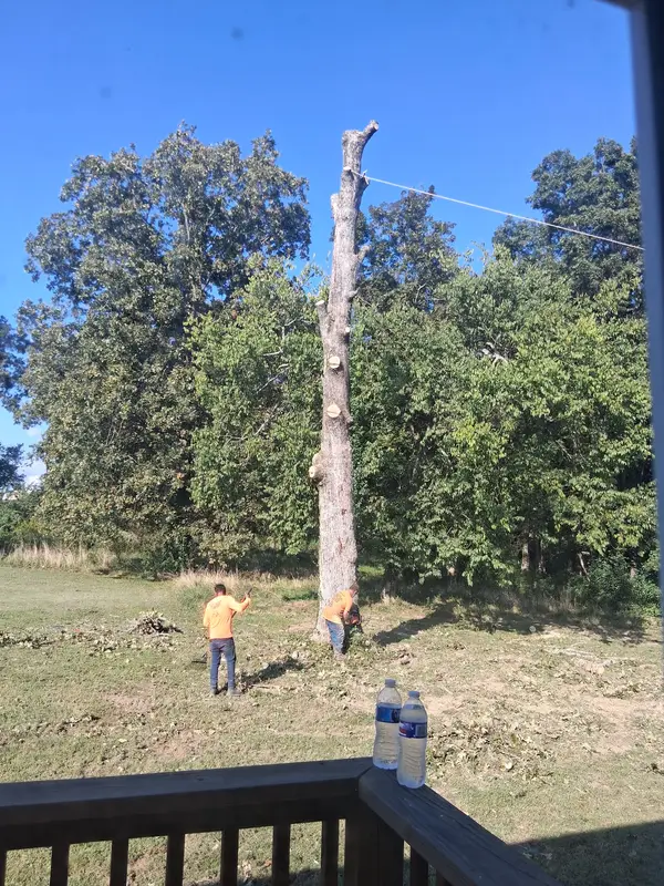 Tree removal beside a deck