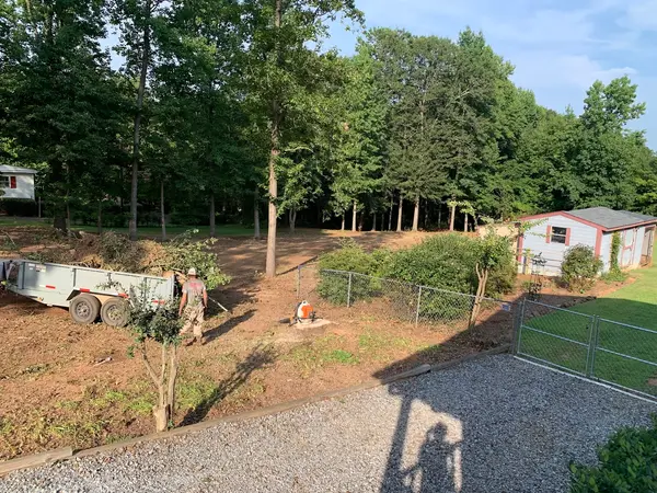 Yard during tree removal