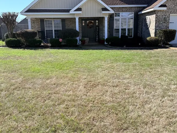 Front lawn and landscape border