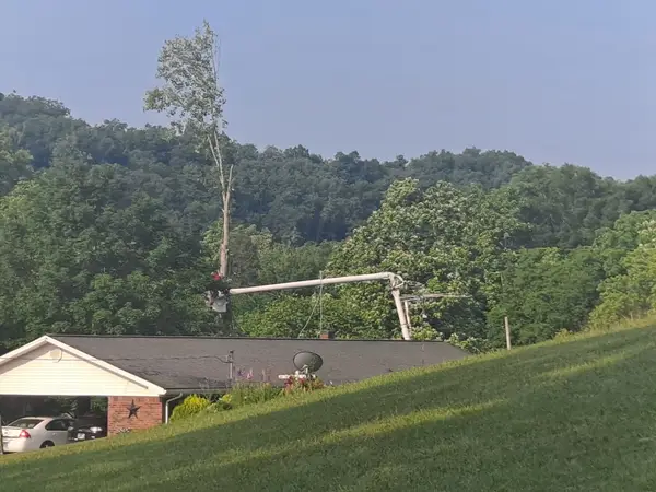 Bucket lift above a residential property