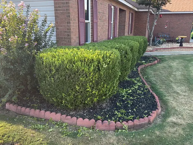 Landscape Makeovers context for Hollywood Landscaping LLC