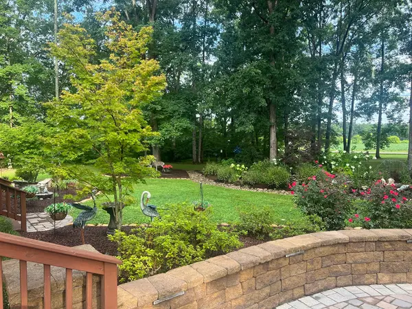 Garden and patio border