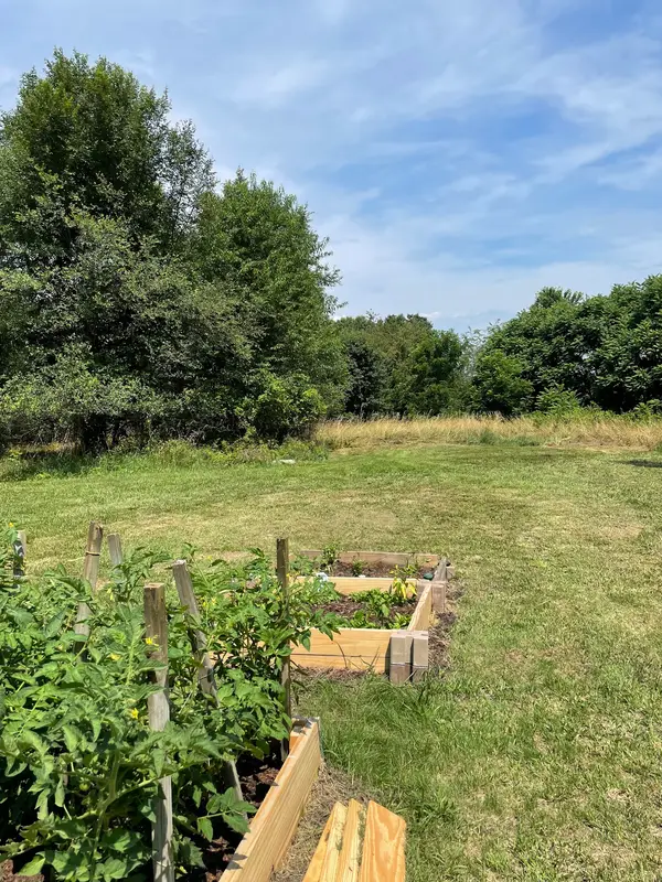 Open yard after brush work