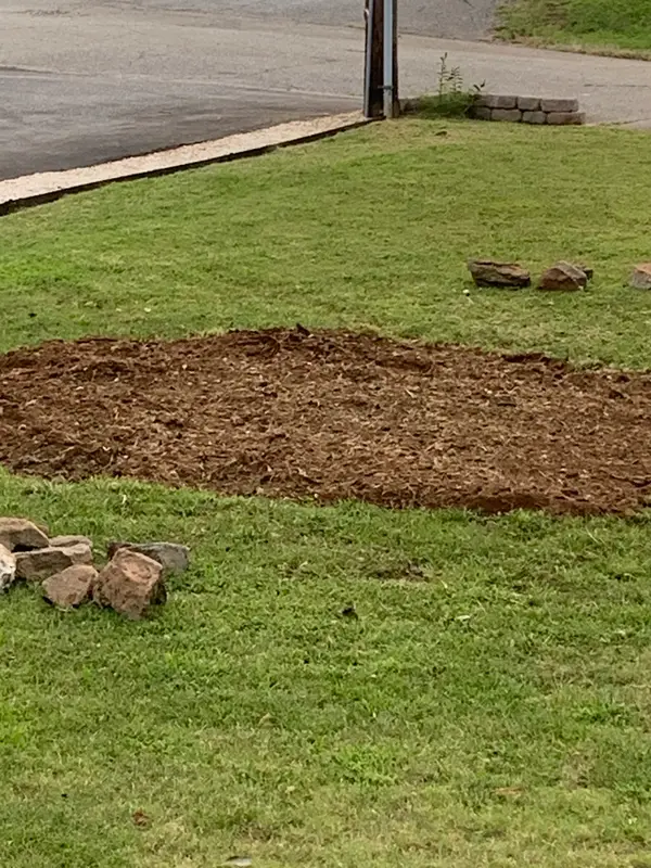 Cleared patch beside a lawn