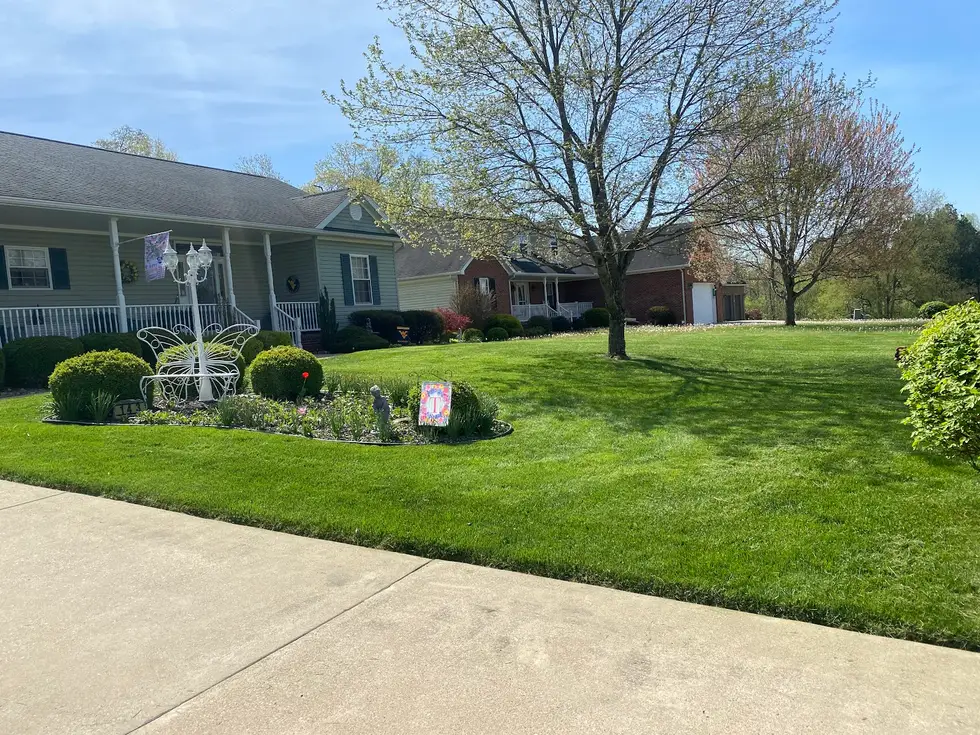 Reliable Lawn Service LLC project work