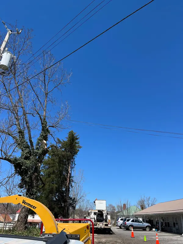 Tree equipment at a roadside property