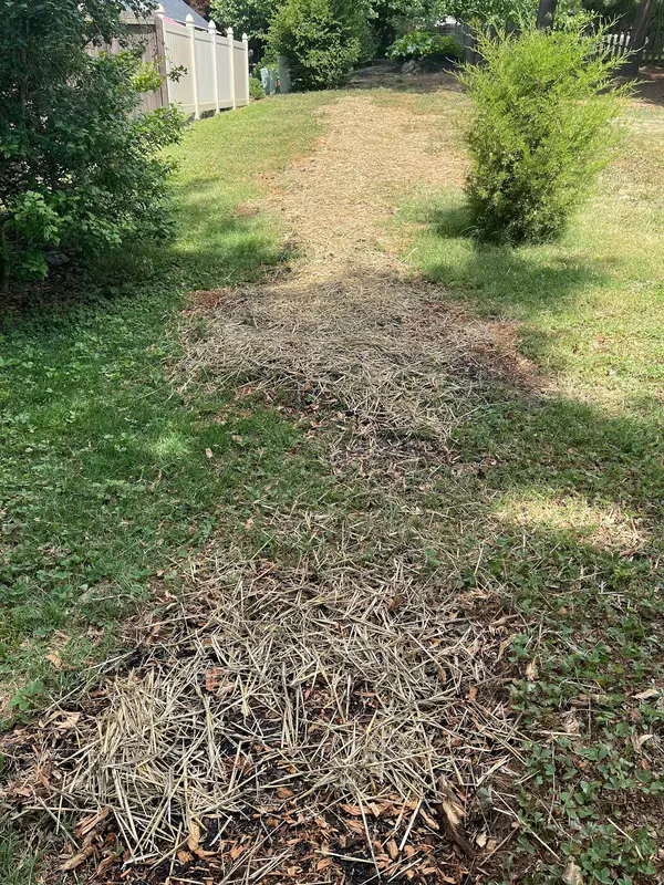 Ground work along a yard edge