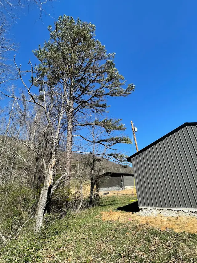 Tree Pruning & Trimming context for Trent’s Residential Services, LLC