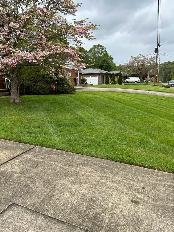 Mown front yard and driveway edge
