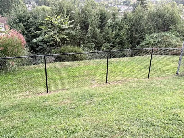 Chain-Link Fences context for Pro Fence