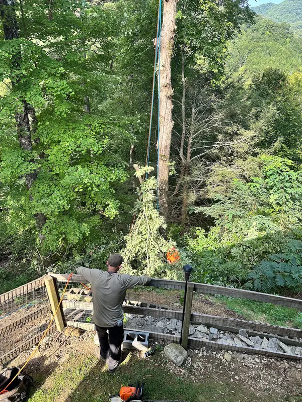 Cutting work beside a wood fence