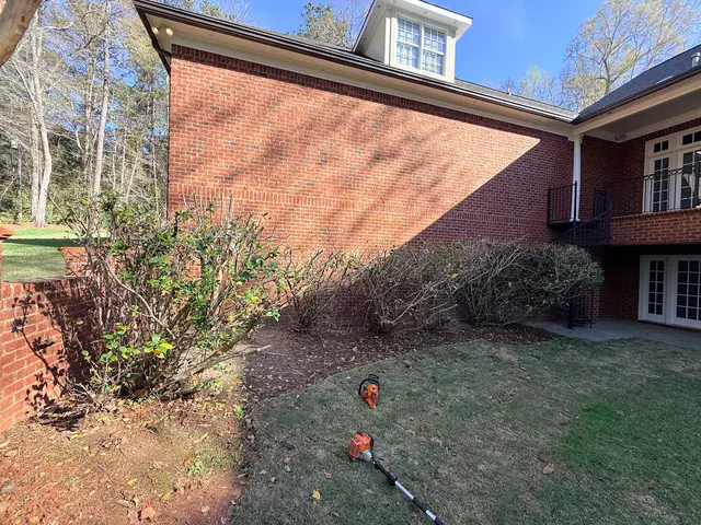 Hedge Trimming context for Hollywood Landscaping LLC