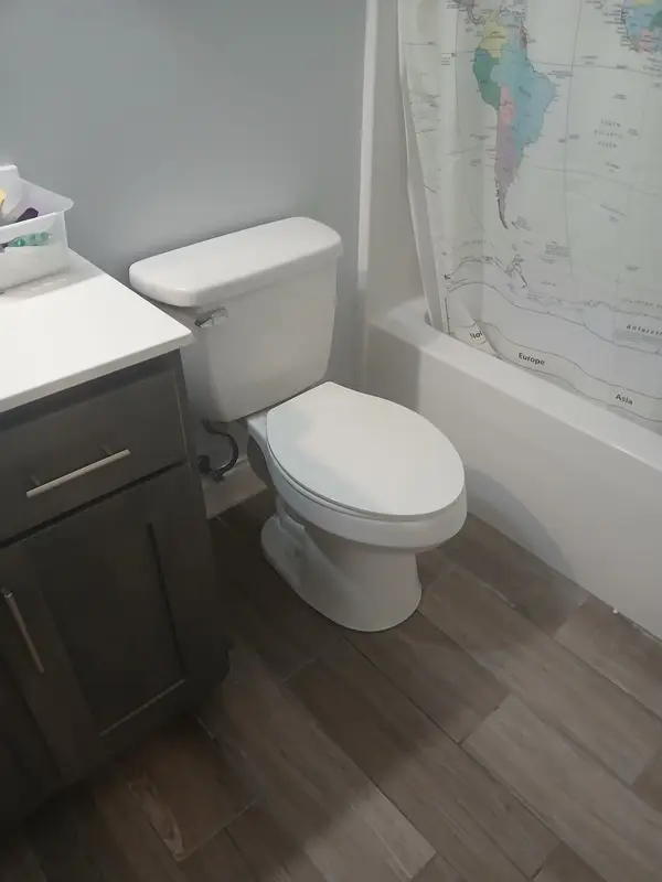 Bathroom toilet and vanity